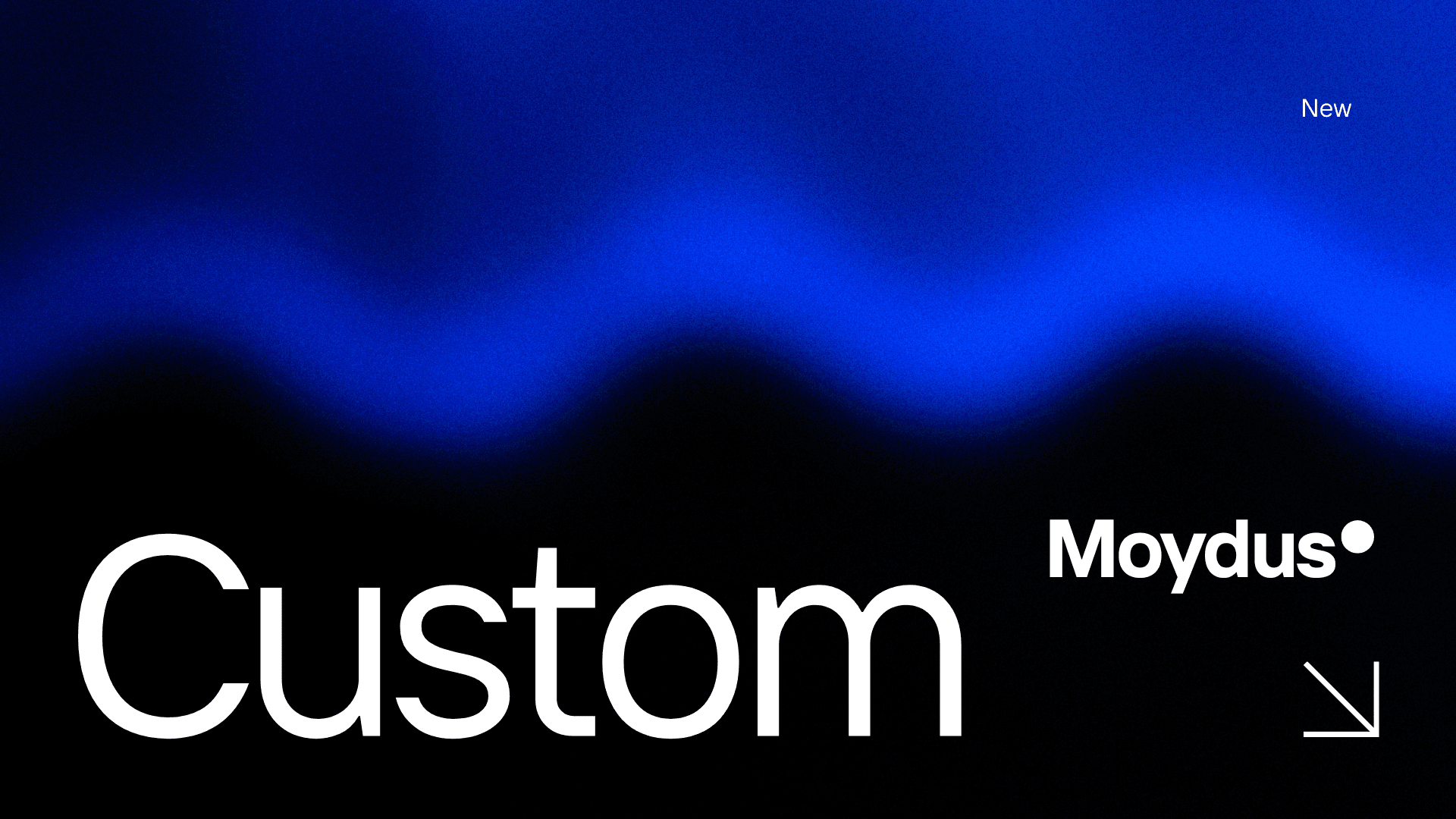 Custom Web Development services for Abbeville, Alabama